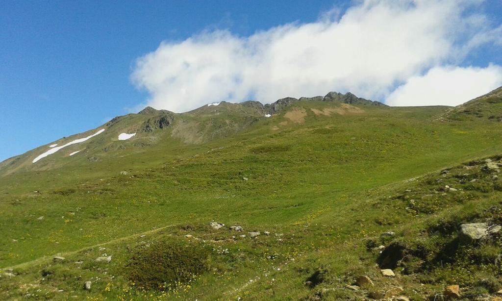 Hotel Edelweiss มัลเลส เวนอสตา ภายนอก รูปภาพ
