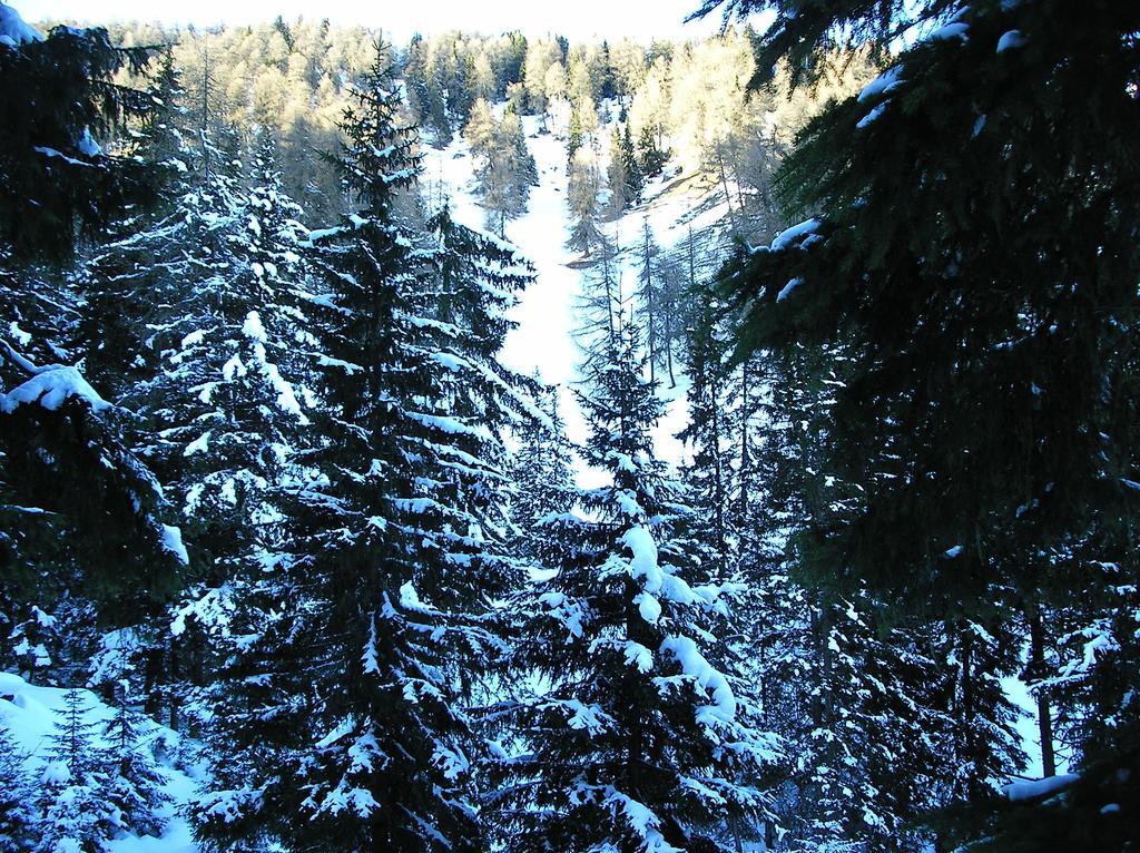 Hotel Edelweiss มัลเลส เวนอสตา ห้อง รูปภาพ