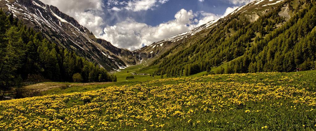 Hotel Edelweiss มัลเลส เวนอสตา ภายนอก รูปภาพ